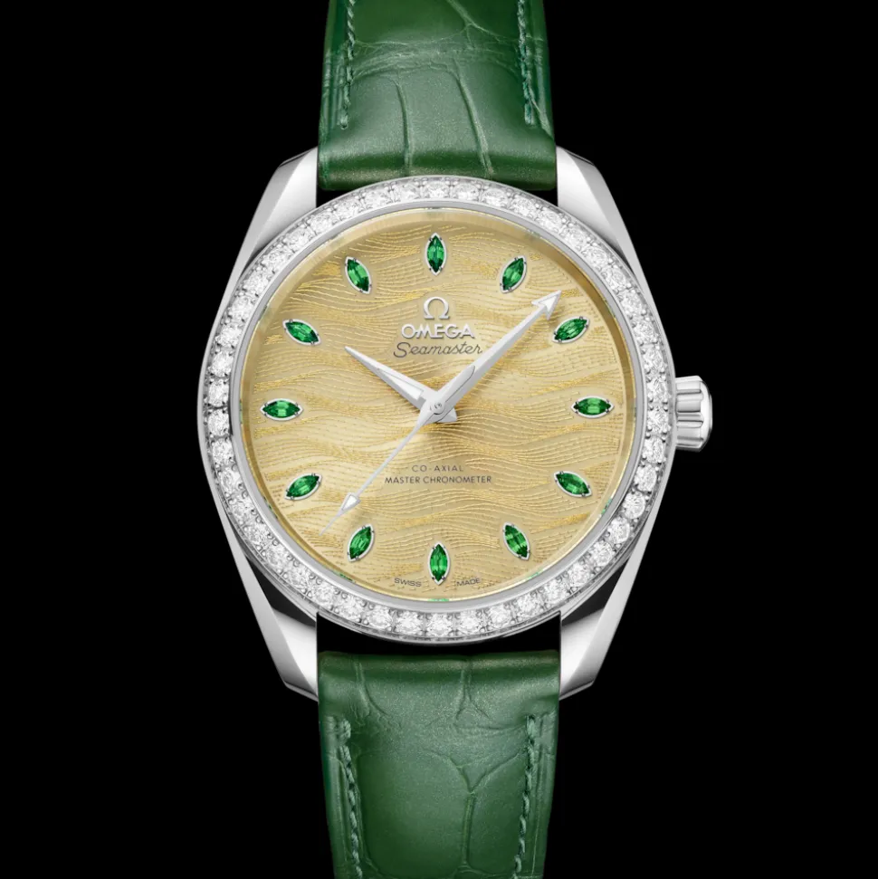 38 mm, Canopus Gold™ mit Alligator