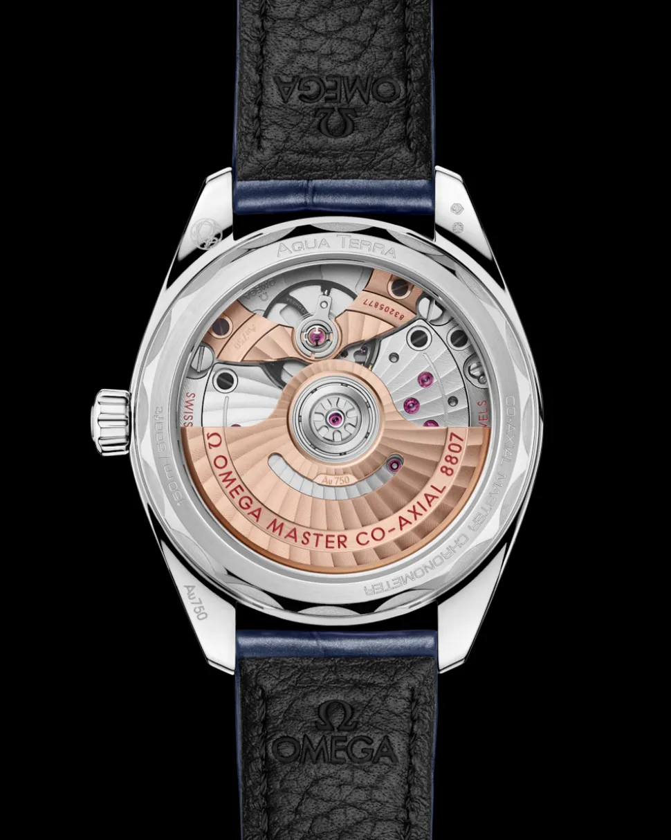 34 mm, Canopus Gold™ mit Alligator