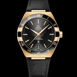 41 mm, Gelbgold mit Lederarmband