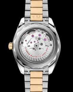 41 mm, Stahl ‑ Moonshine™‑Gold mit Stahl ‑ Moonshine™‑Gold