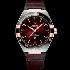 41 mm, Stahl ‑ Sedna™‑Gold mit Lederarmband