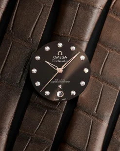 36 mm, Stahl ‑ Sedna™‑Gold mit Lederarmband