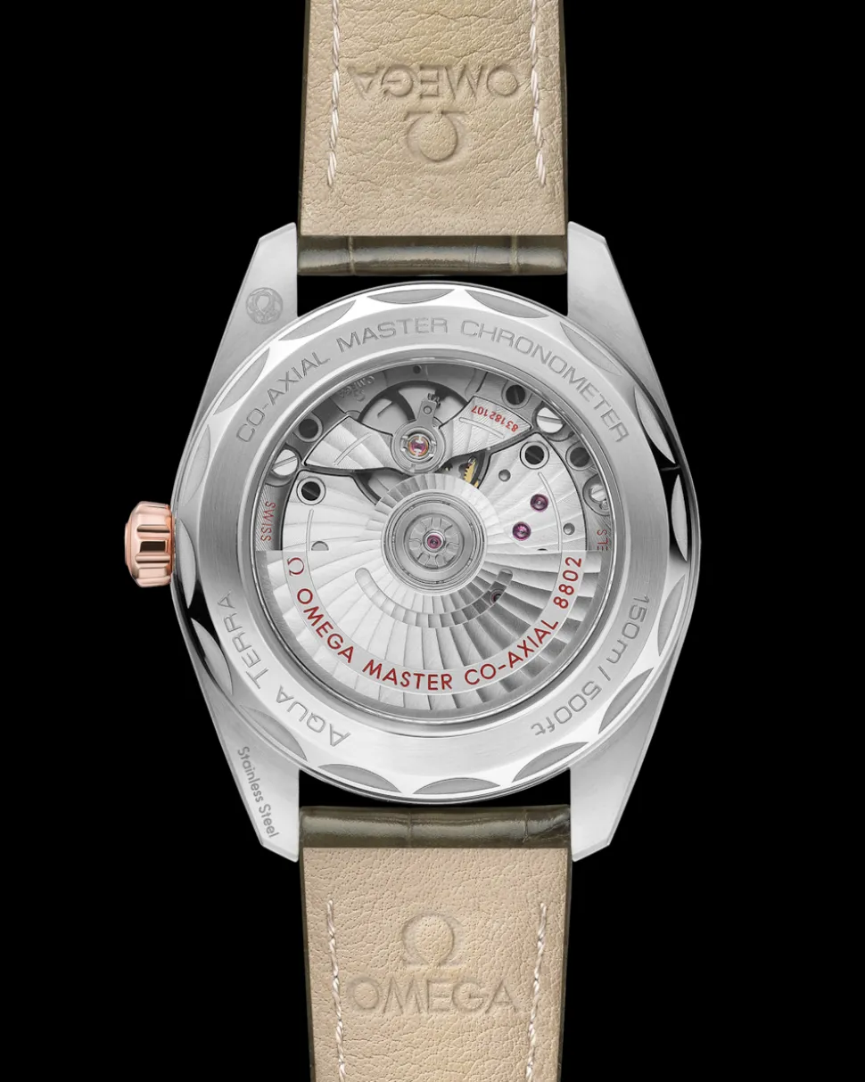 38 mm, Stahl ‑ Sedna™‑Gold mit Lederarmband