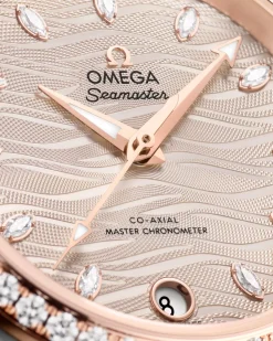 34 mm, Stahl ‑ Sedna™‑Gold mit Lederarmband