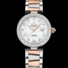 34 mm, Stahl ‑ Sedna™‑Gold mit Stahl‑ und Sedna™‑Goldband