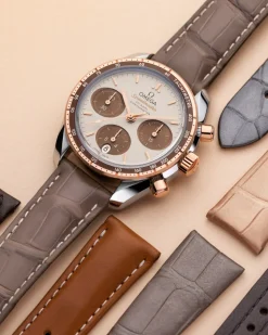 Taupefarbenes Alligatorlederarmband mit Dornschließe